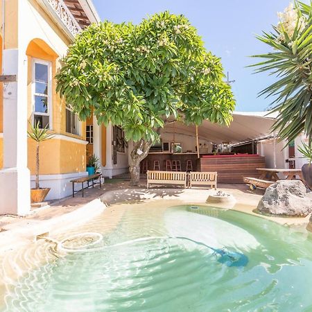 Green Elephant Backpackers Cape Town Dış mekan fotoğraf