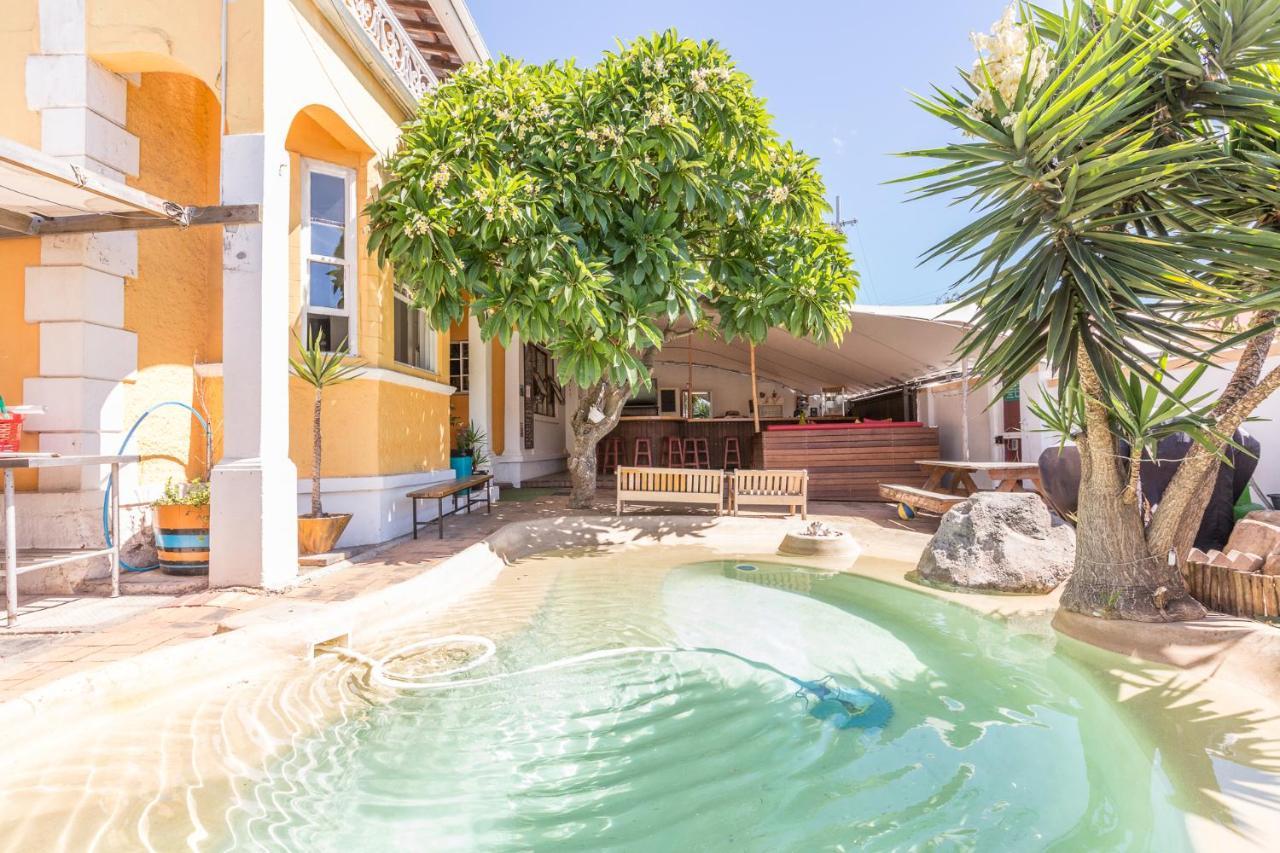 Green Elephant Backpackers Cape Town Dış mekan fotoğraf