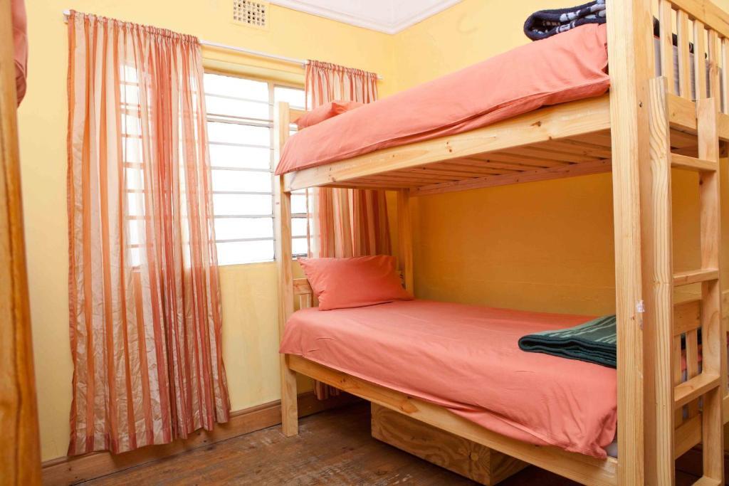 Green Elephant Backpackers Cape Town Oda fotoğraf