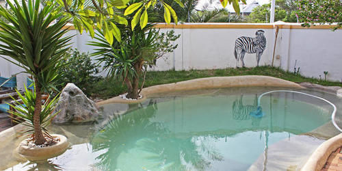 Green Elephant Backpackers Cape Town Dış mekan fotoğraf
