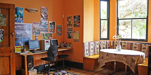 Green Elephant Backpackers Cape Town Dış mekan fotoğraf